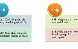 Các Mã Loại Hình Trong Xuất Nhập Khẩu