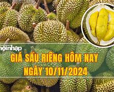 Giá Sầu Riêng Hôm Nay 10 11