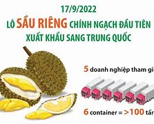 Hệ Thống Xuất Khẩu Sầu Riêng Sang Trung Quốc 2023