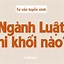 Học Luật Nên Theo Khối Nào